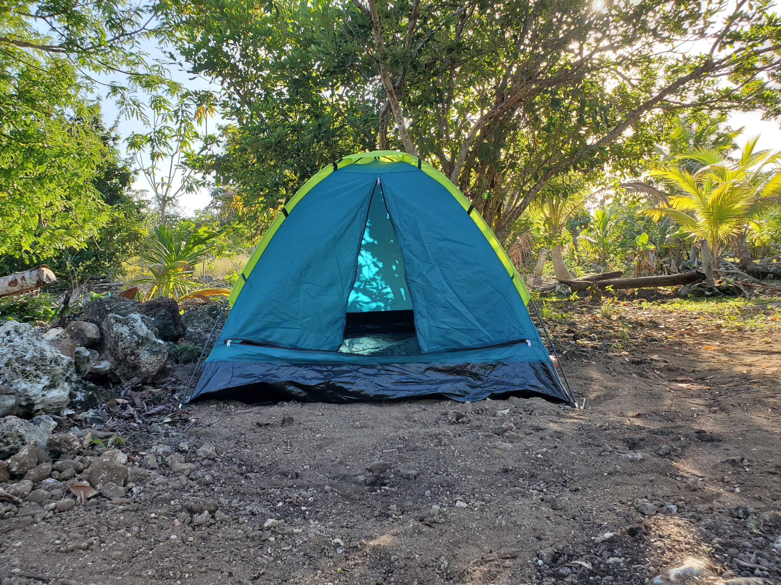 Experience the Wild Heart of the Jungle - Image 2