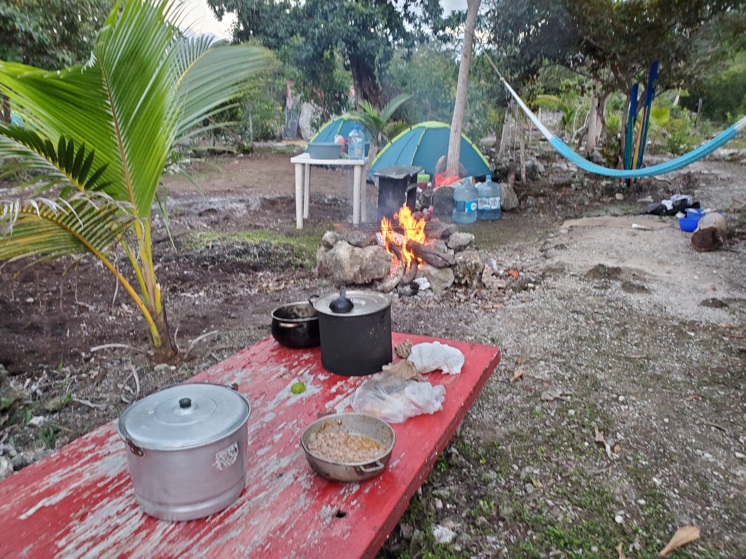 Experience the Wild Heart of the Jungle - Image 4