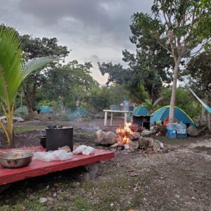 Experience the Wild Heart of the Jungle