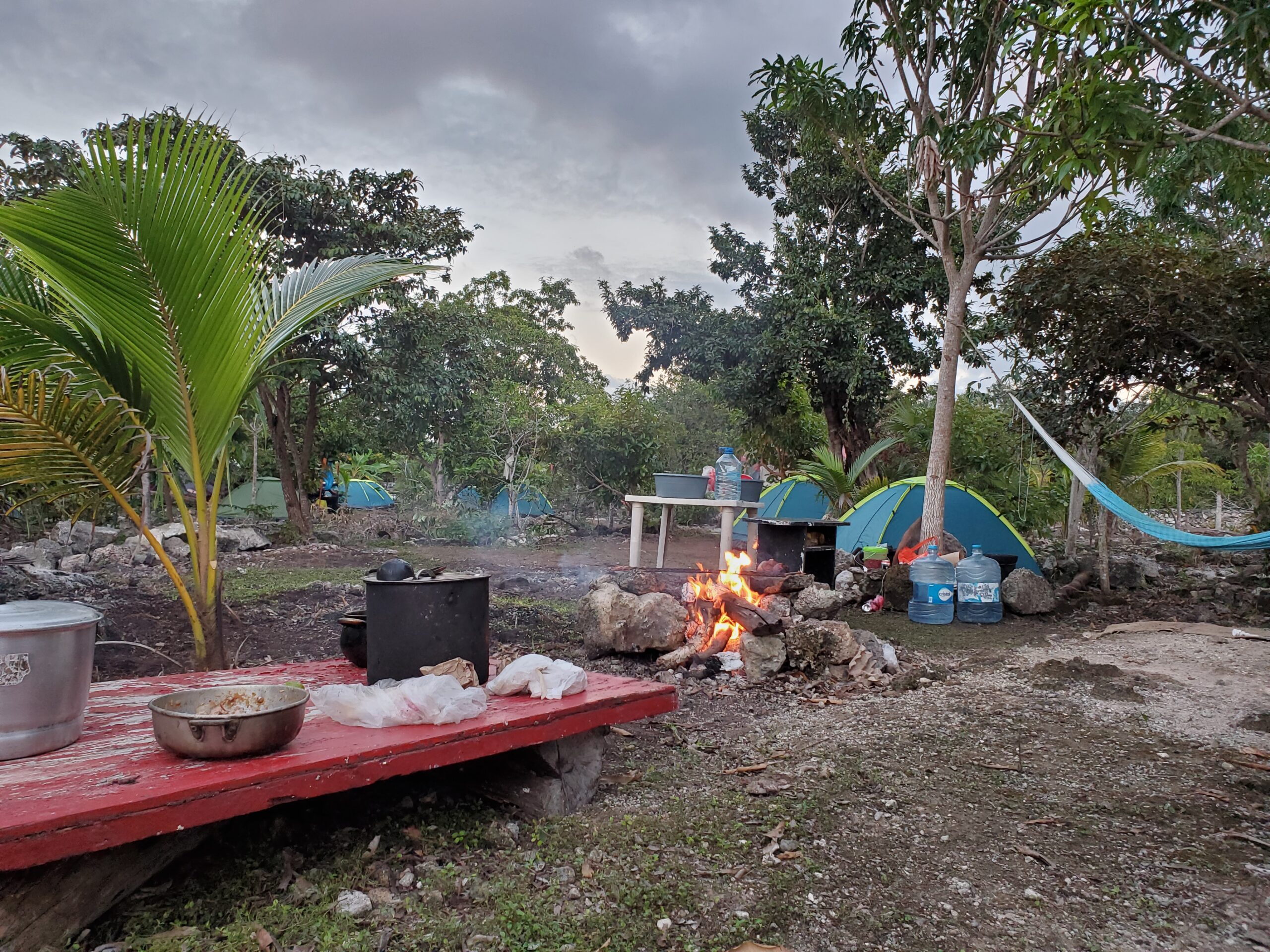 Experience the Wild Heart of the Jungle