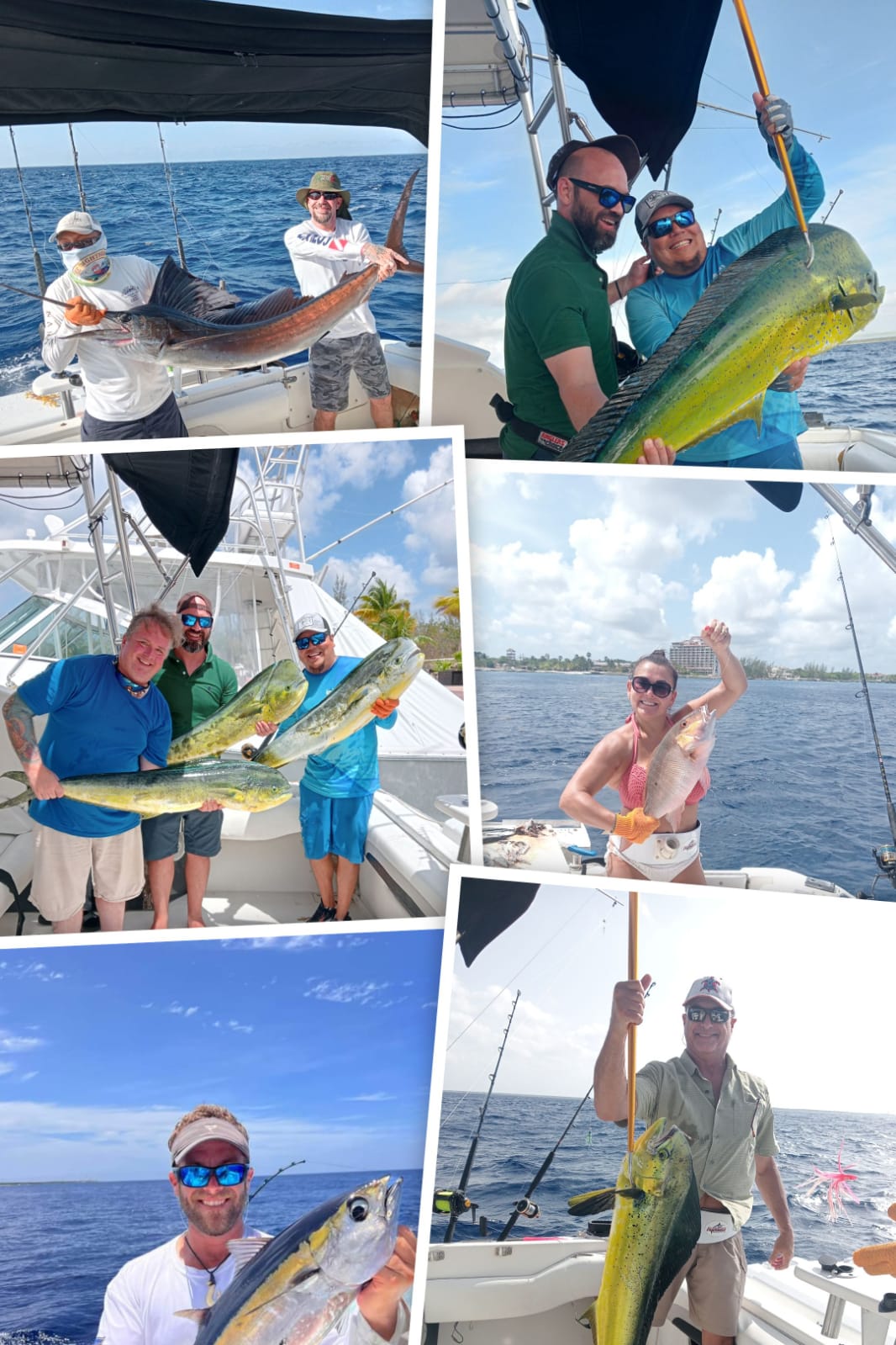 Lets Go Fishing! Catch & Cook: The Ultimate Fishing Adventure 🎣