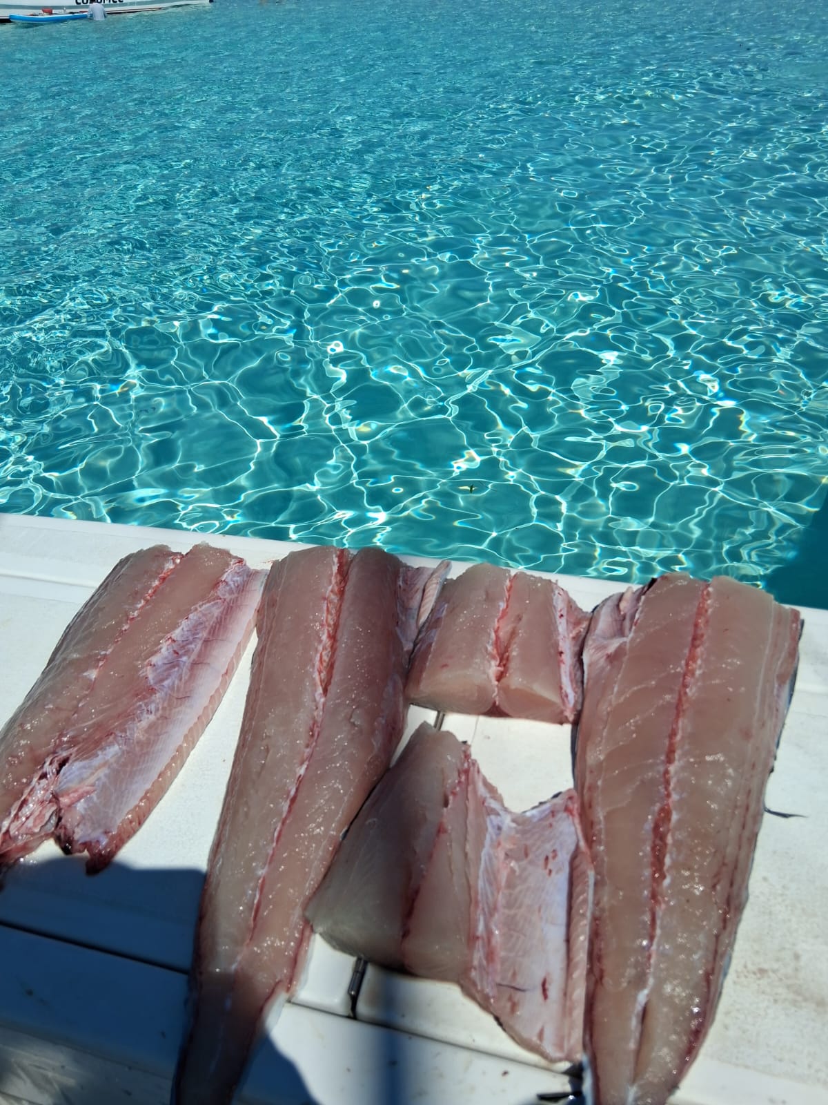 Lets Go Fishing! Catch & Cook: The Ultimate Fishing Adventure 🎣 - Image 3