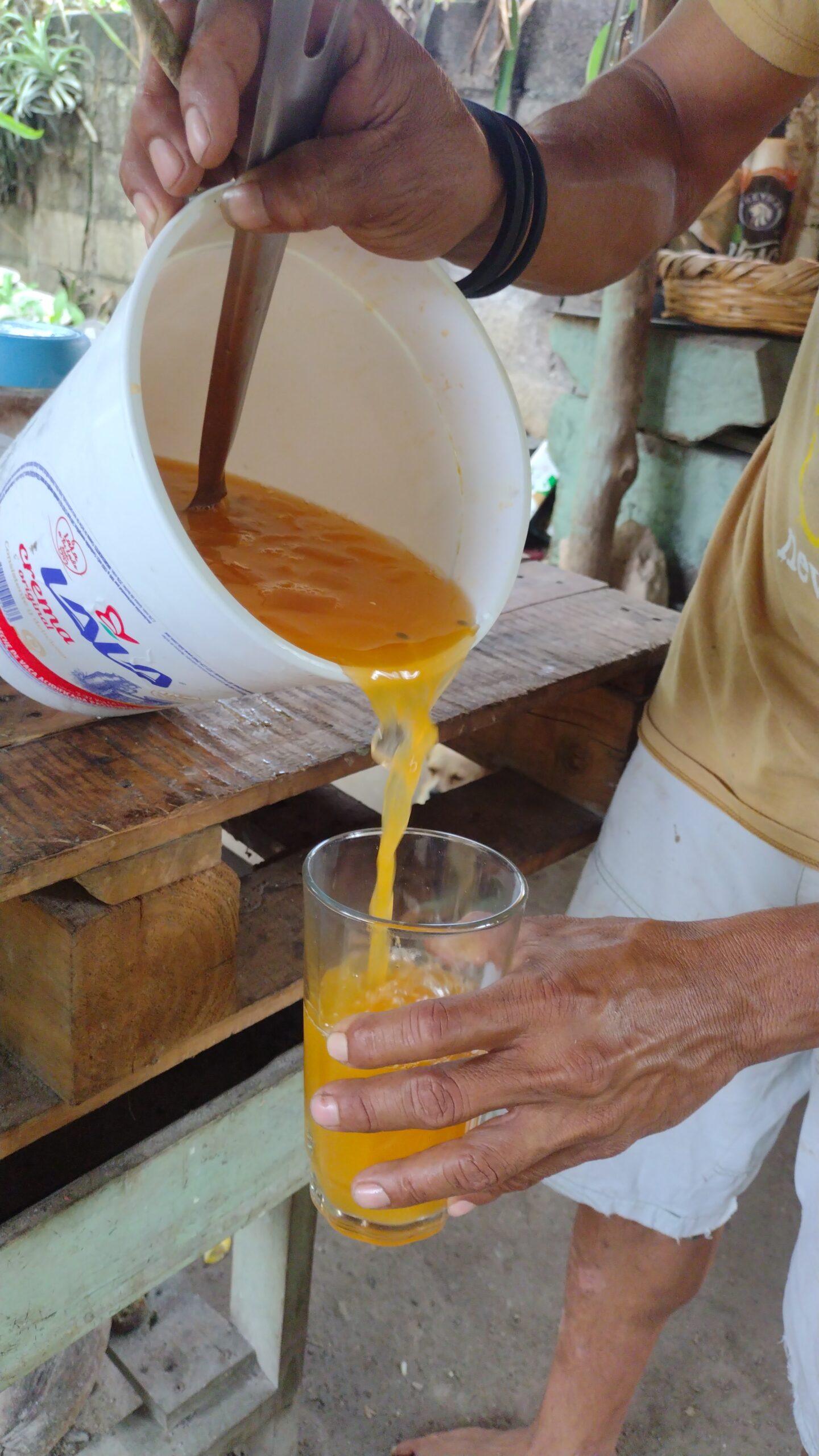 Authentic Mayan Family Cooking Tour - Image 2